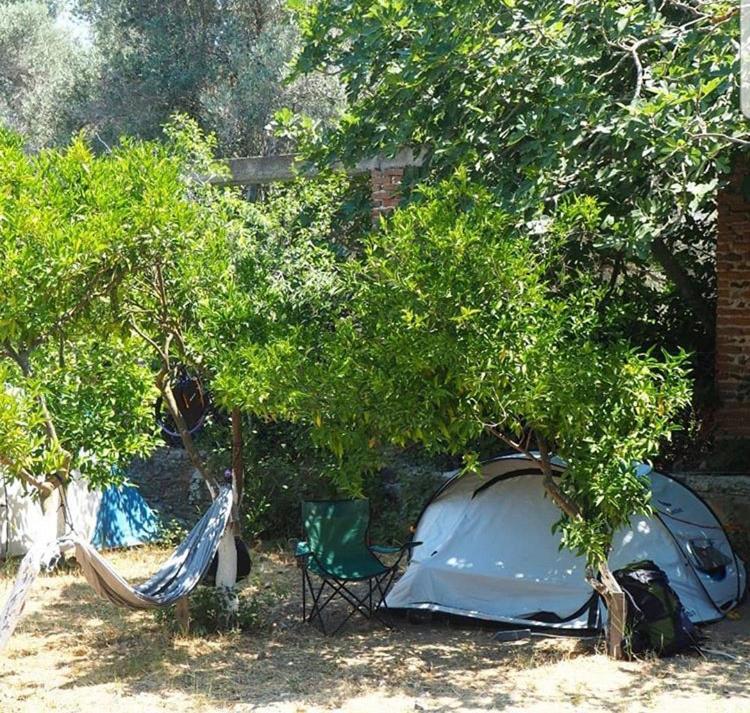 Bodrum Masali Camping Gümüşlük Exterior foto